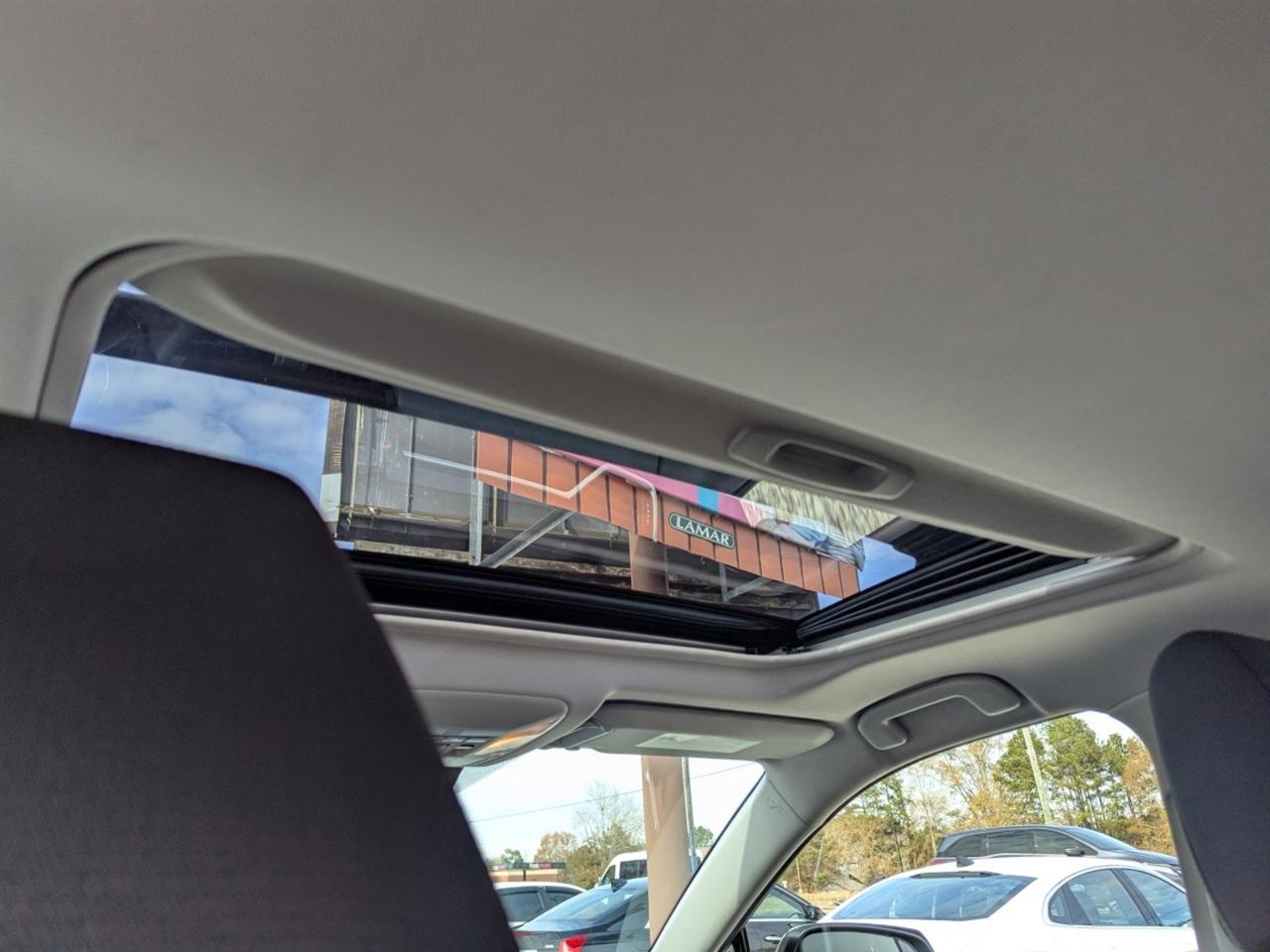 Toyota RAV4 XLE AWD (Natl) 2019