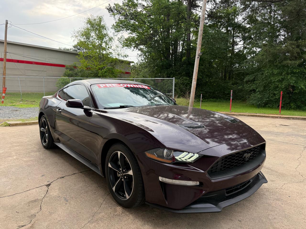 Ford Mustang EcoBoost Coupe 2019