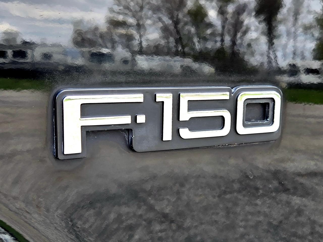 Ford F-150  1995
