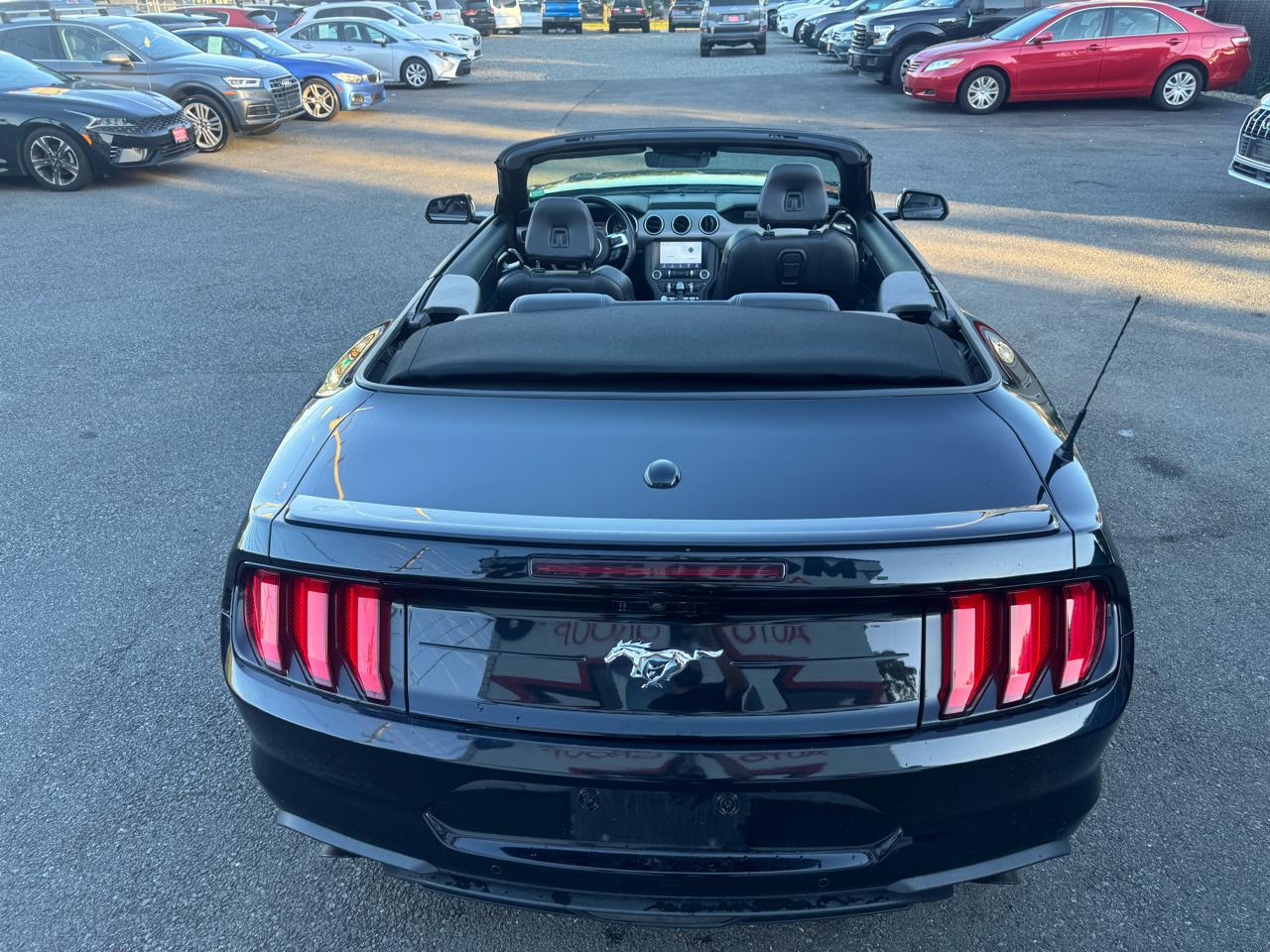 Ford Mustang EcoBoost Premium Convertible 2021