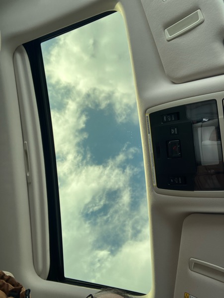 Lexus RX RX 350L AWD 2020