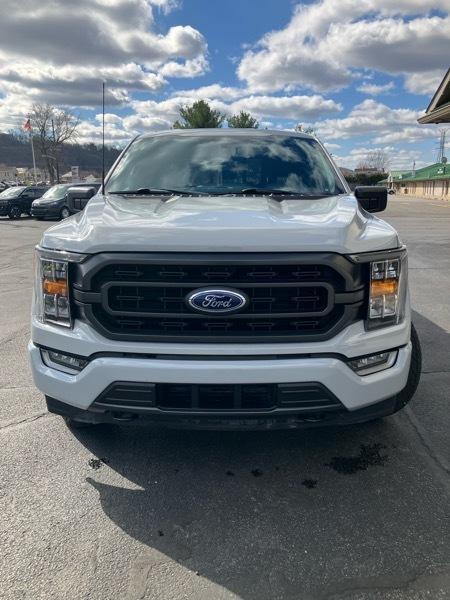 Ford F-150 XLT SuperCrew 6.5-ft Box 4WD 2023