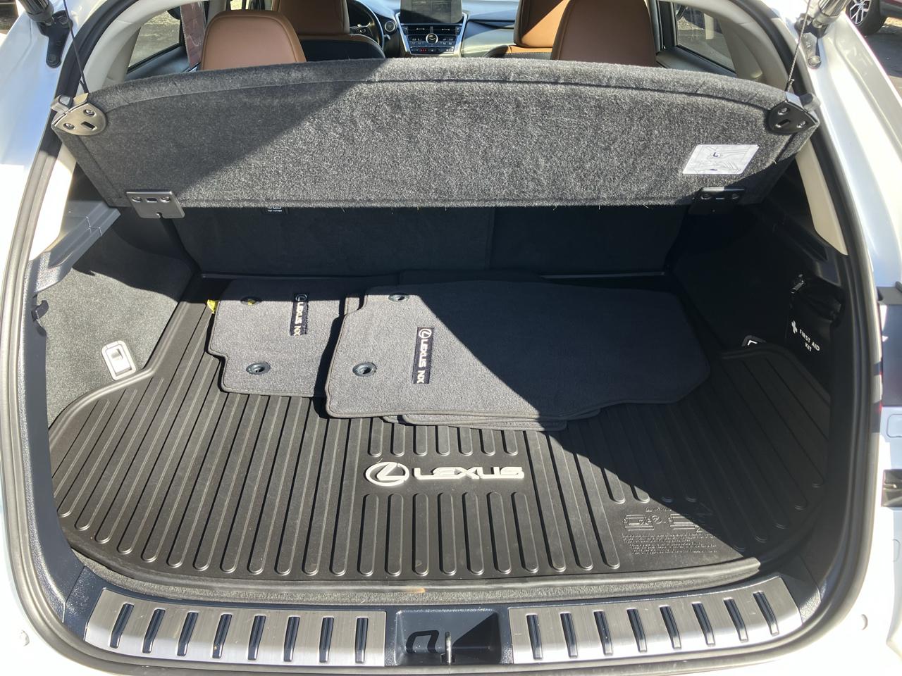Lexus NX NX 300 AWD 2021