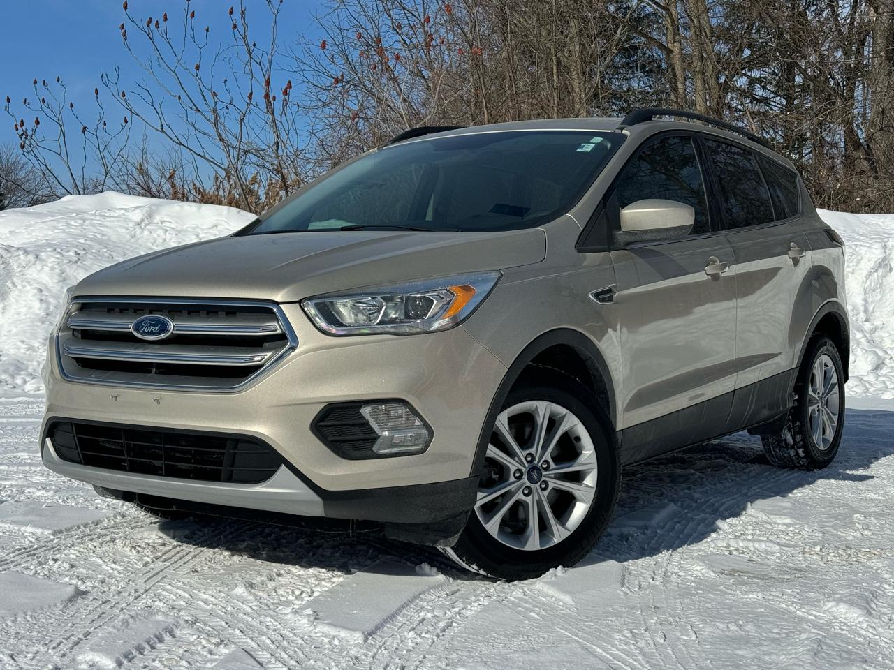 Ford Escape SE FWD 2017