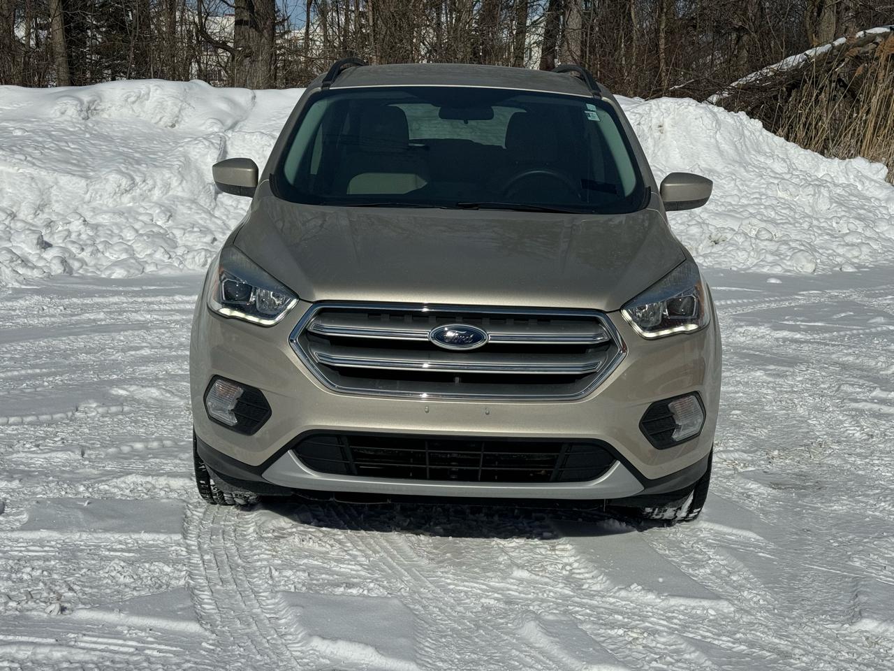 Ford Escape SE FWD 2017