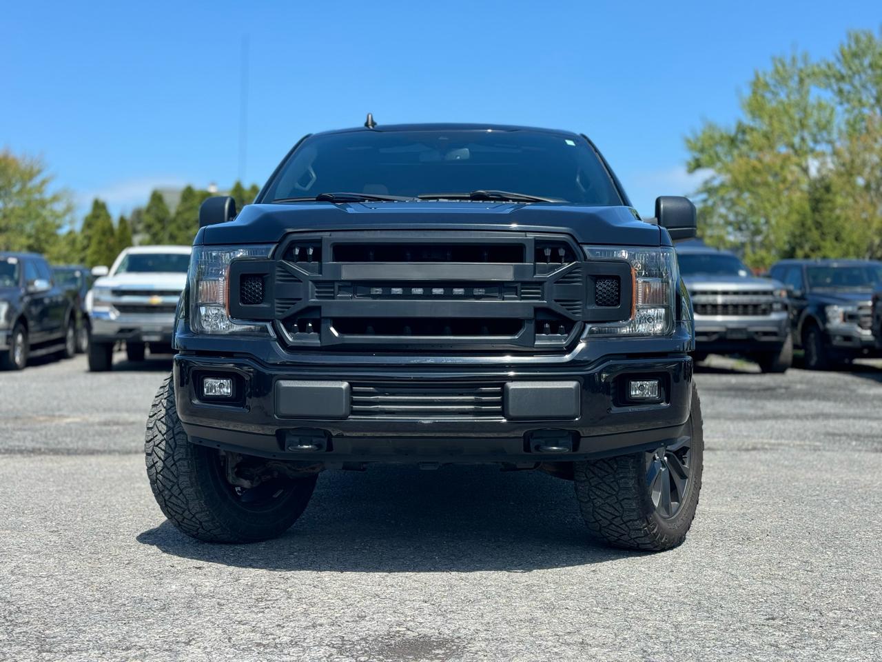 Ford F-150 XLT SuperCrew 5.5-ft. Bed 4WD 2020