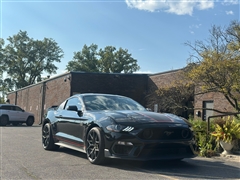 2021 Ford Mustang  2021 Ford Mustang