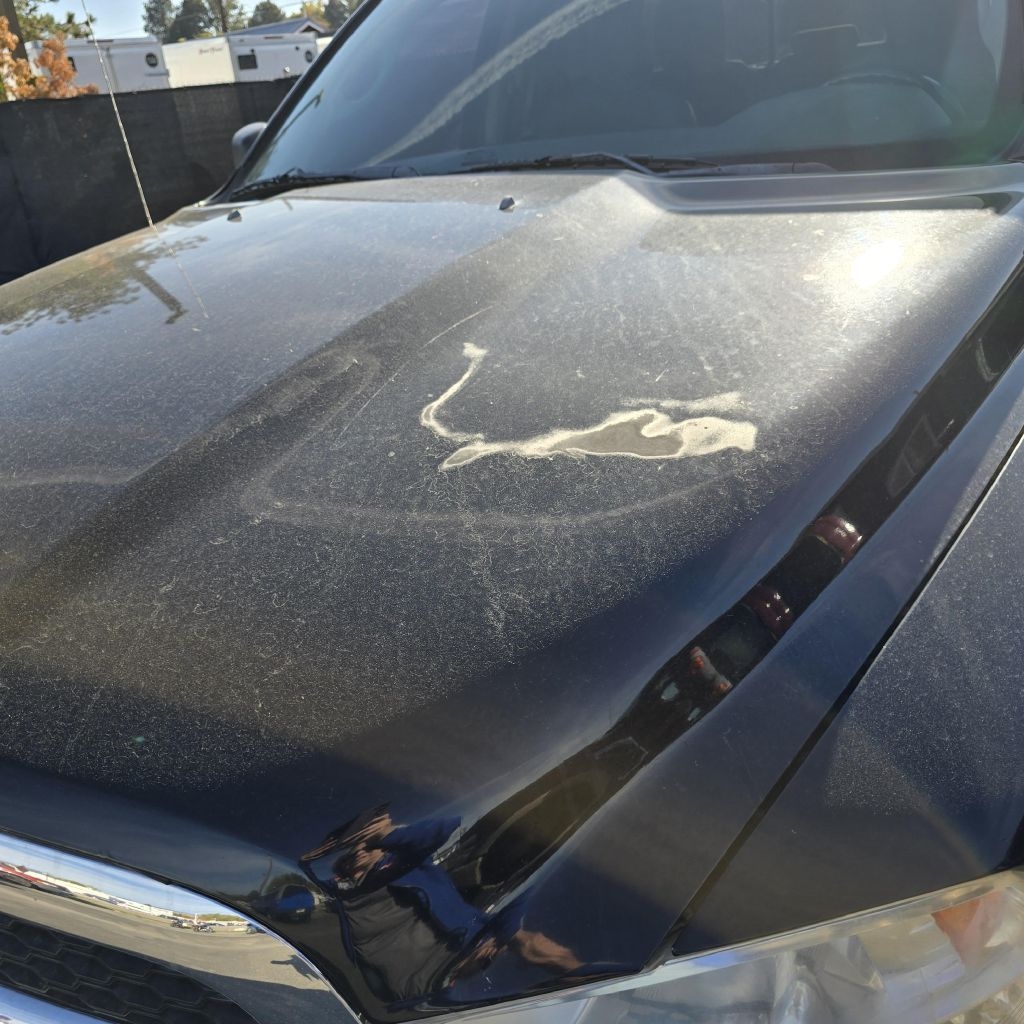 RAM 1500  2013 RAM 1500  2013