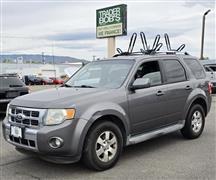 2010 Ford Escape 