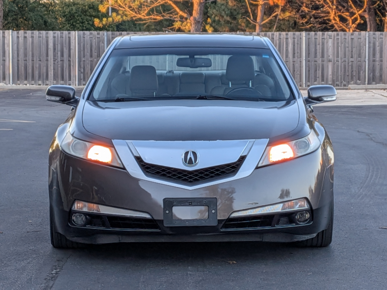 2009 Acura TL photo 2