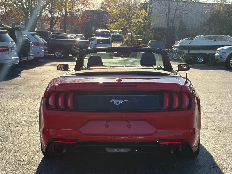 Ford Mustang EcoBoost Premium Convertible 2022