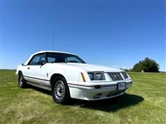 1984 Ford Mustang  1984 Ford Mustang