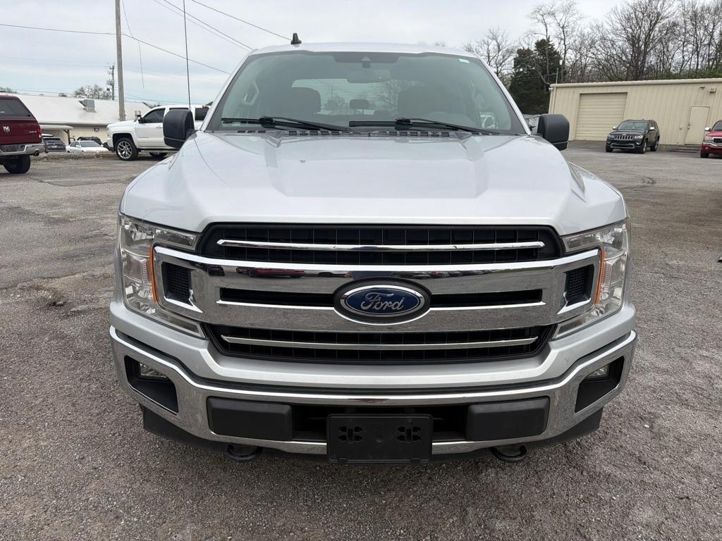 Ford F-150 XL SuperCrew 5.5-ft. Bed 4WD 2019