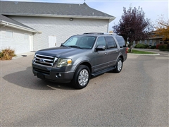 2011 Ford Expedition 