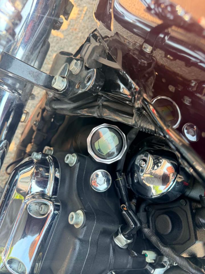 Harley-Davidson FLHR  2007
