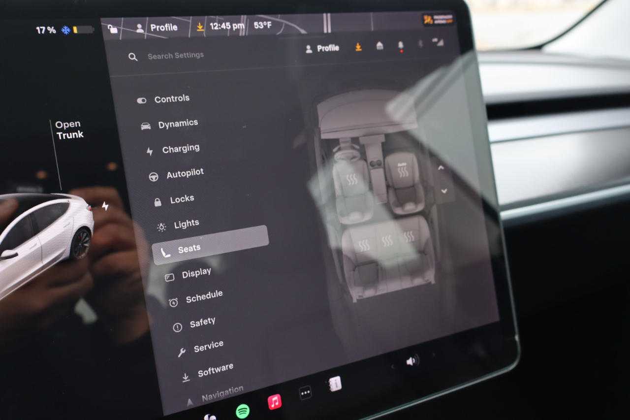 Tesla Model 3 Performance 4D Sedan AWD 2020