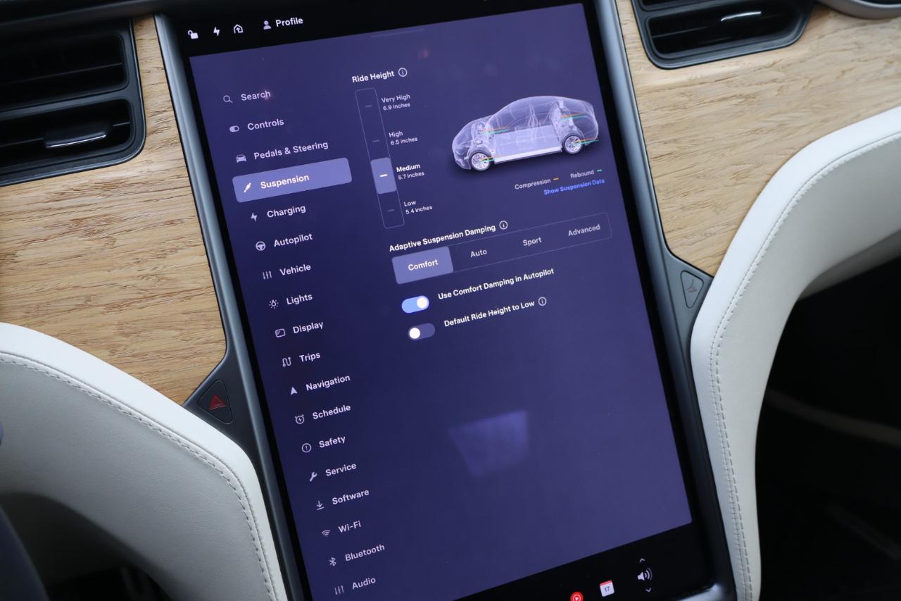 Tesla Model S 4dr Sdn Performance 2019