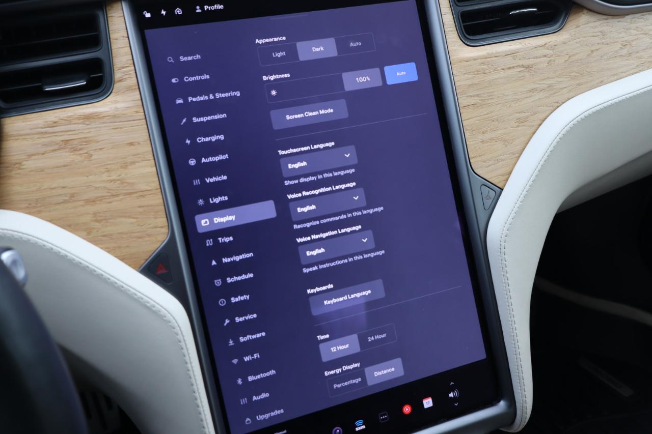 Tesla Model S 4dr Sdn Performance 2019