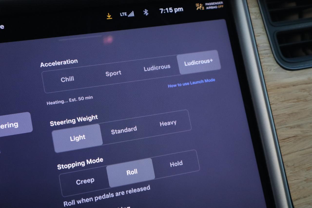 Tesla Model S 4dr Sdn Performance 2019