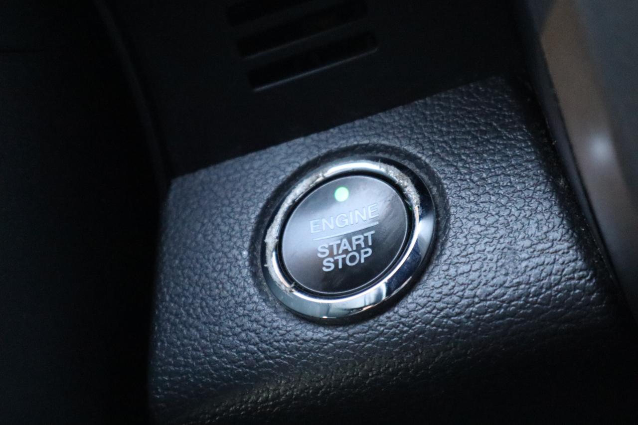 Ford Expedition XLT 4WD 2020