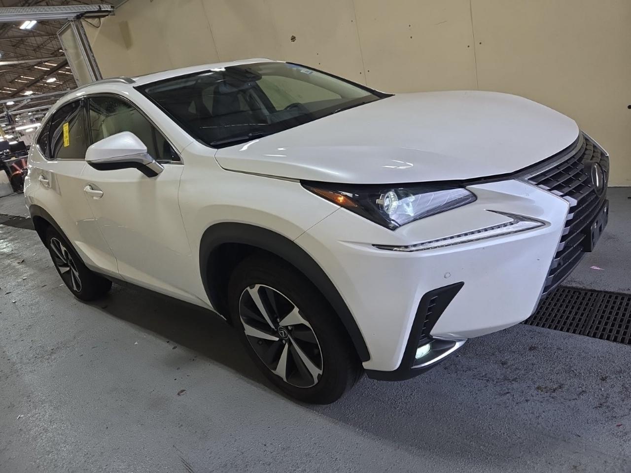 Lexus NX 300 Premium AWD 2020