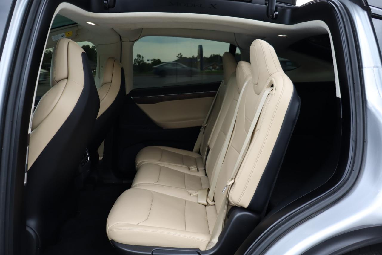 Tesla Model X 100D AWD 2017