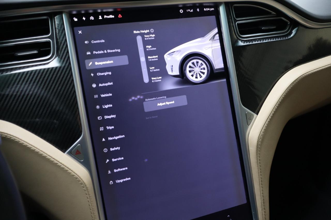 Tesla Model X 100D AWD 2017
