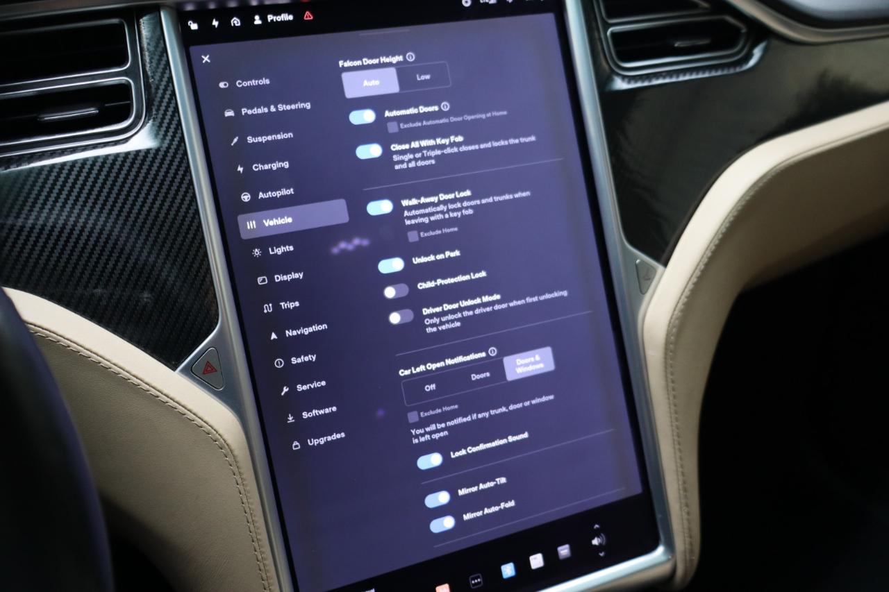 Tesla Model X 100D AWD 2017