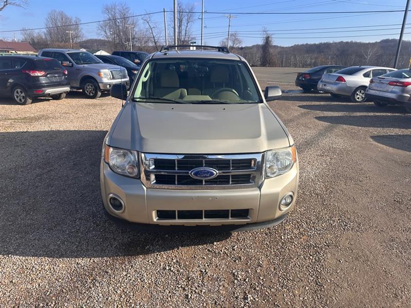 Ford Escape XLT FWD 2011