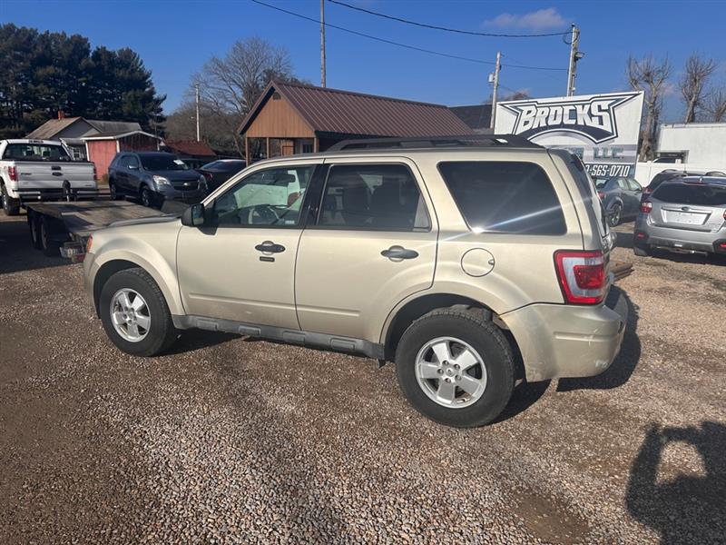 Ford Escape XLT FWD 2011