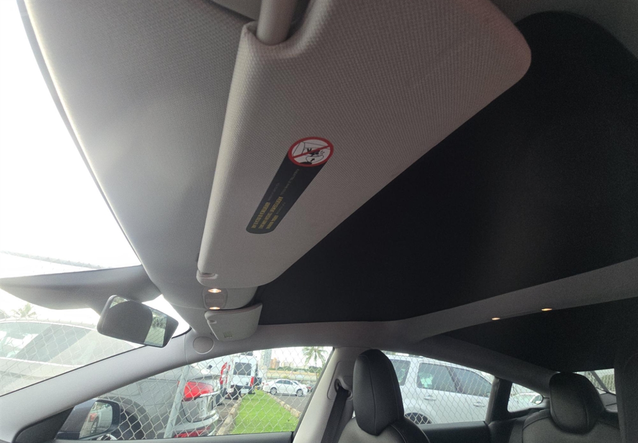 Tesla Model 3 Standard Range Plus 2021