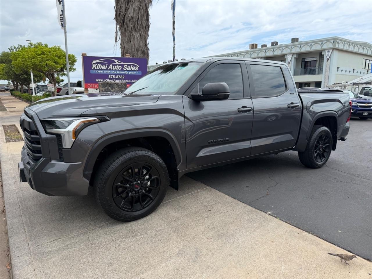 Toyota Tundra SR5 CrewMax 4WD 2024