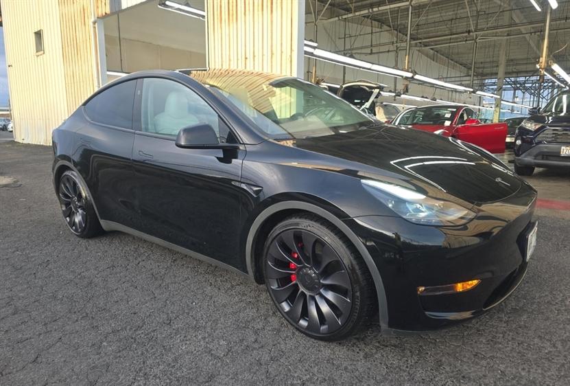Tesla Model Y Performance 2024