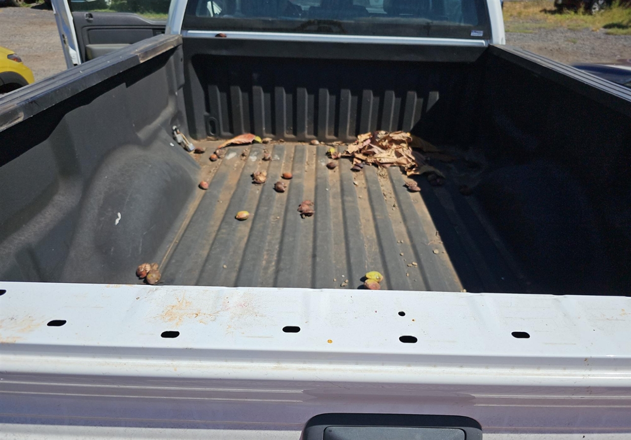 Ford F-150 XL 8-ft. Bed 2WD 2013