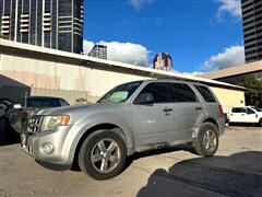2009 Ford Escape  2009 Ford Escape