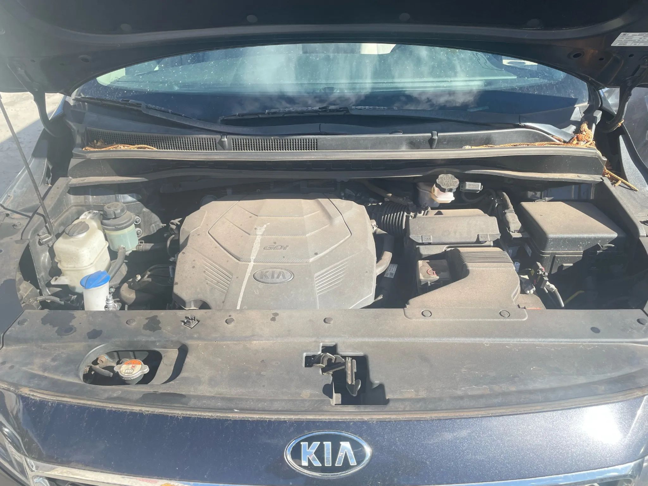 Kia Sedona LX 2020