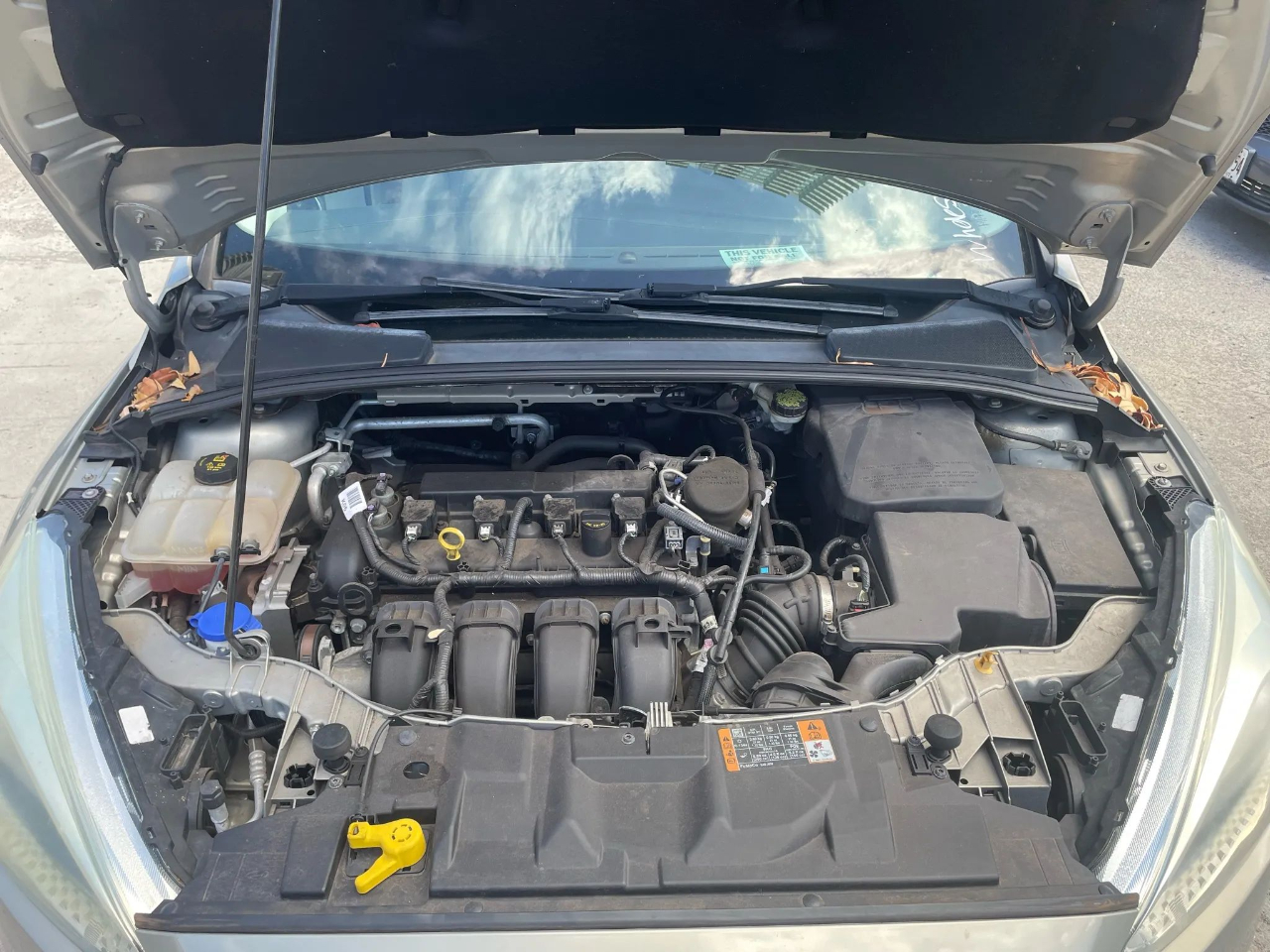 Ford Focus SE Hatch 2015