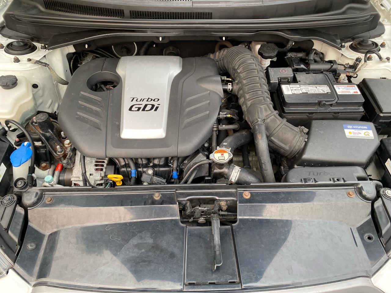 Hyundai Veloster 3dr Cpe Auto Turbo 2016