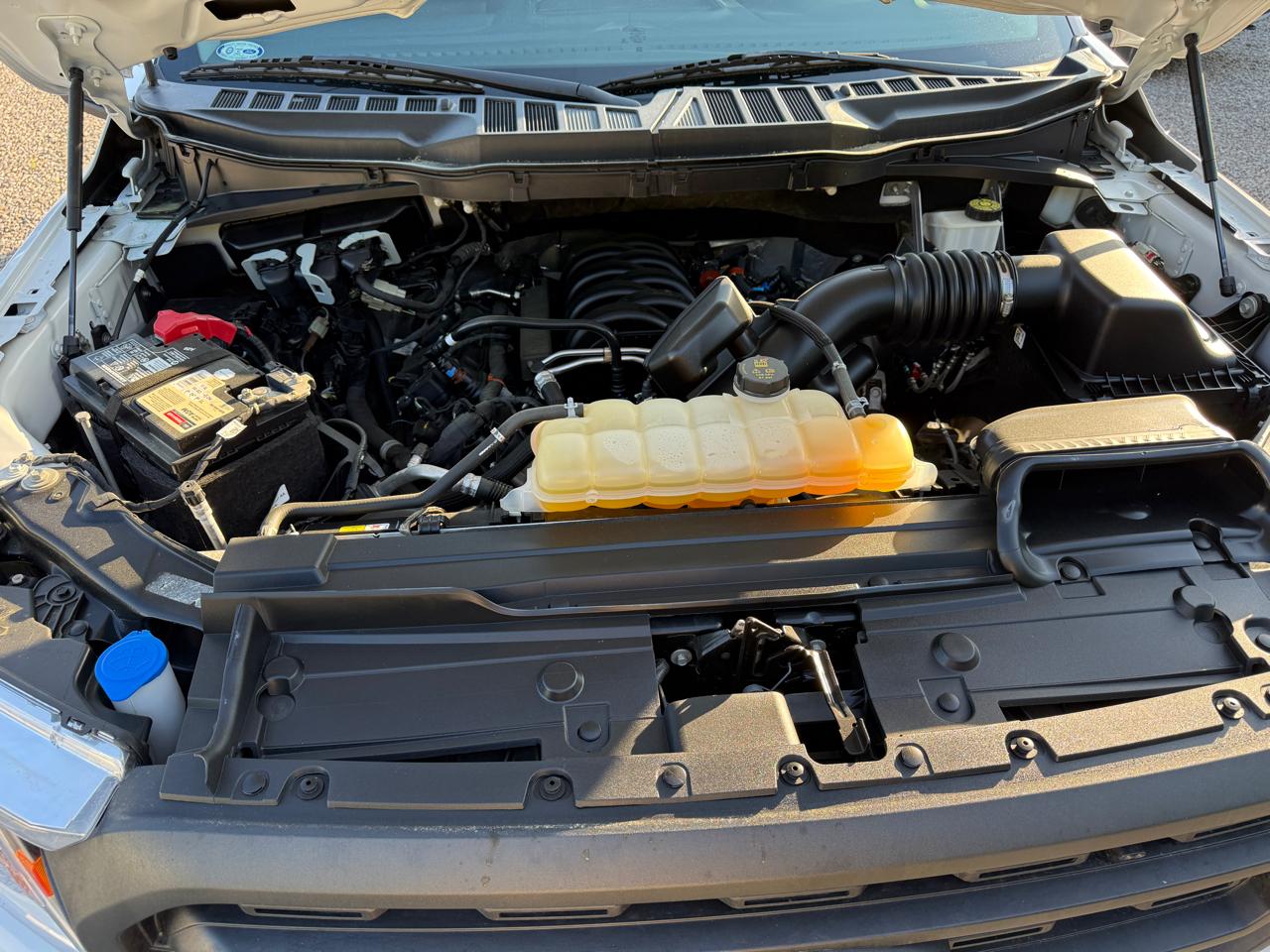 Ford F-150 2WD Reg Cab 122.5" XL 2021