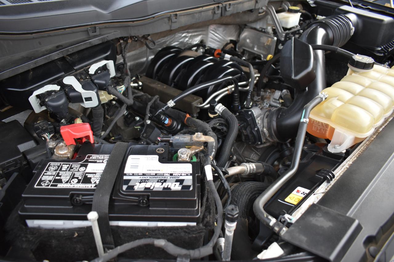 Ford F-150 XL SuperCrew 6.5-ft. Bed 4WD 2021