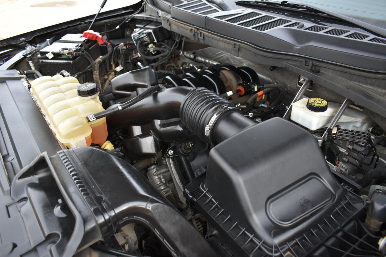 Ford F-150 XL SuperCrew 6.5-ft. Bed 4WD 2021