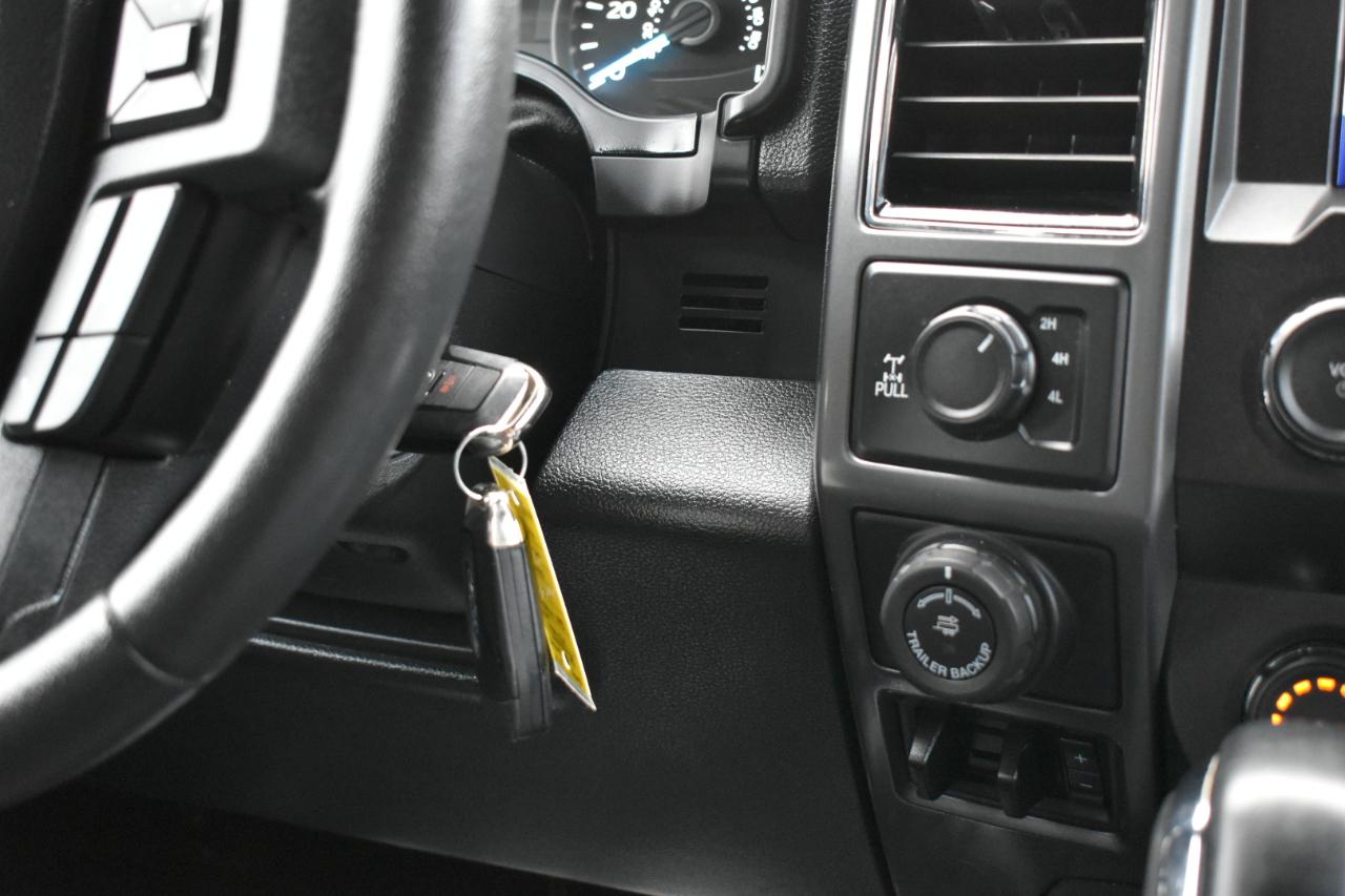 Ford F-150 XLT SuperCrew 6.5-ft. Bed 4WD 2020