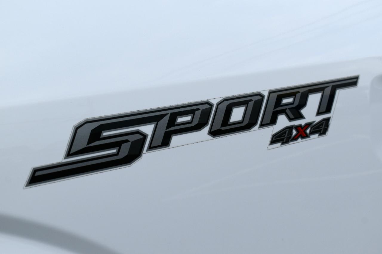 Ford F-150 XLT SuperCrew 6.5-ft. Bed 4WD 2020