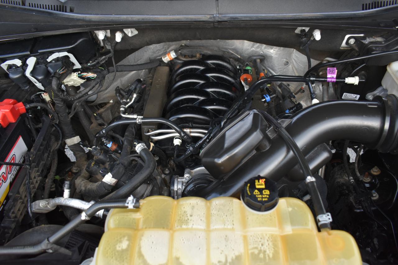 Ford F-150 XLT SuperCrew 6.5-ft. Bed 4WD 2020