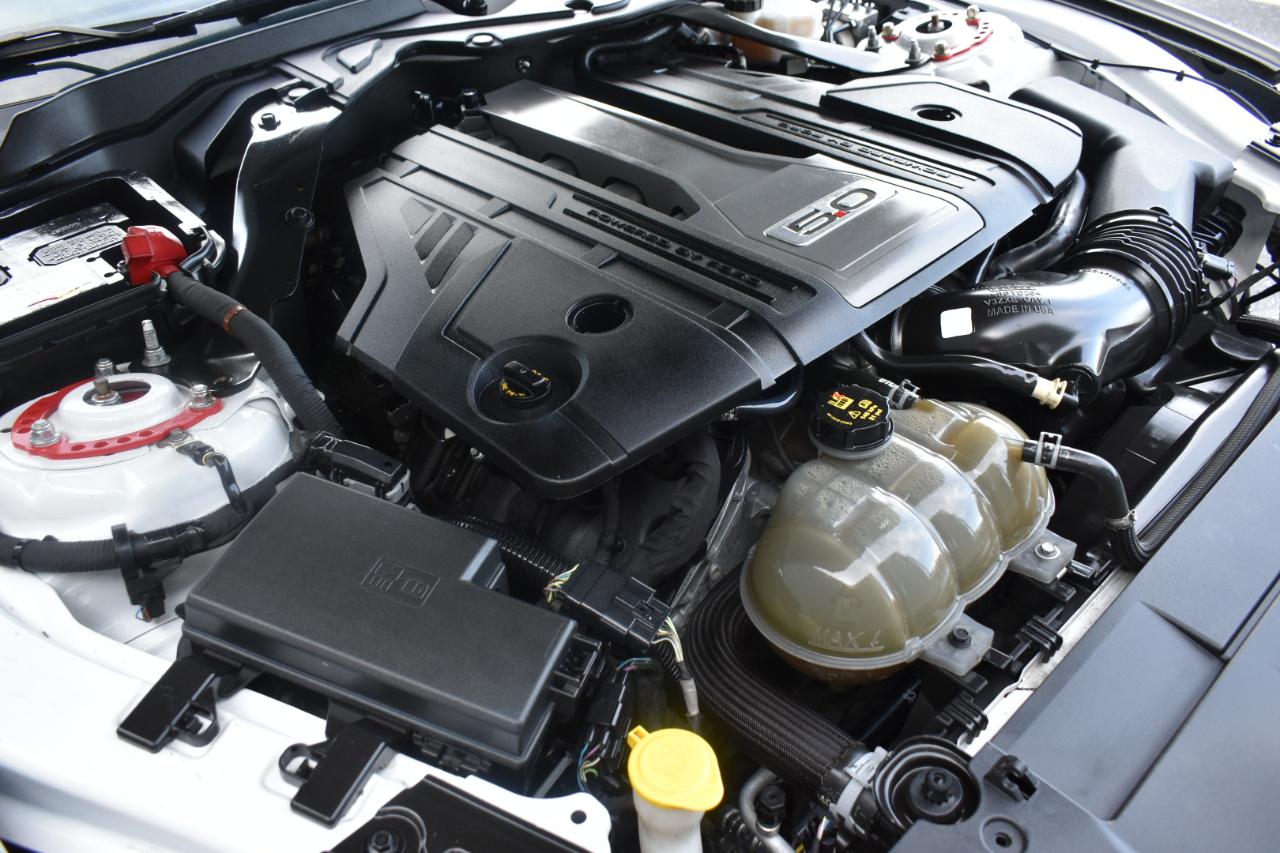 Ford Mustang GT Premium Coupe 2019