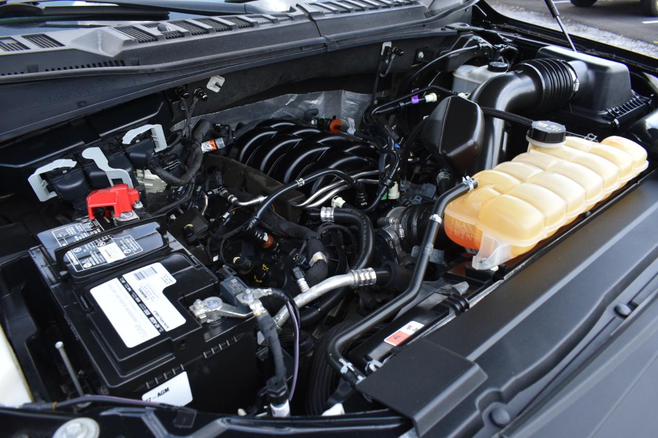 Ford F-150 2WD SuperCrew 145" Platinum 2019