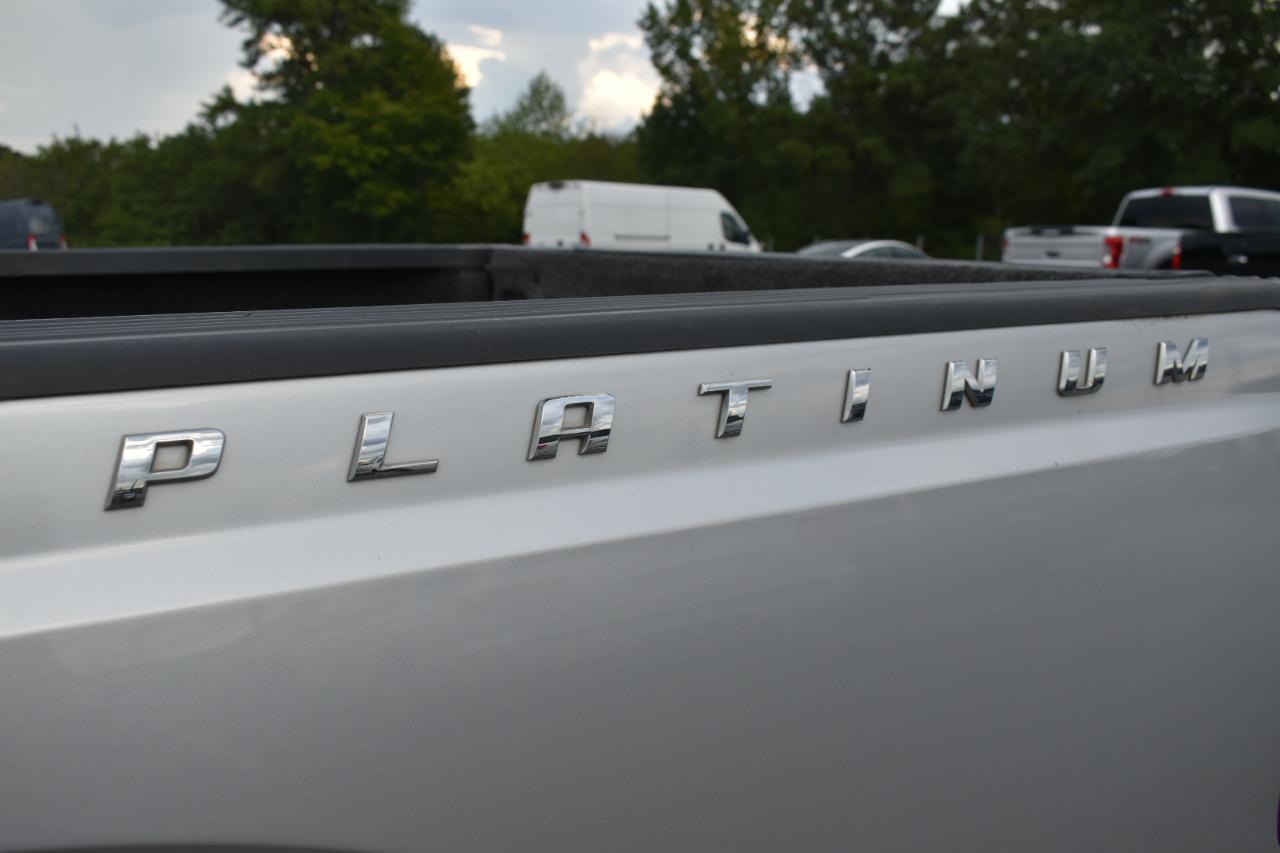 Ford F-250 SD Platinum Crew Cab 4WD 2013