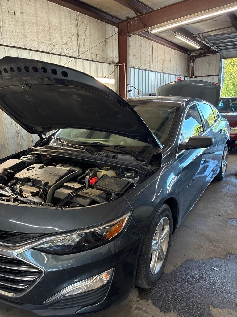 2019 Chevrolet Malibu