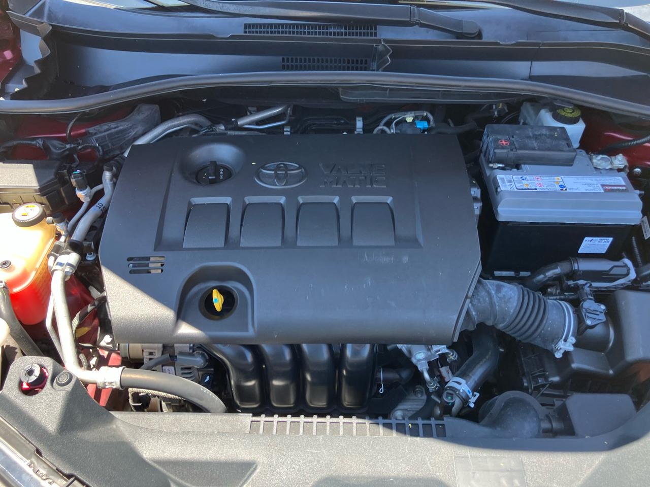 Toyota C-HR LE 2019