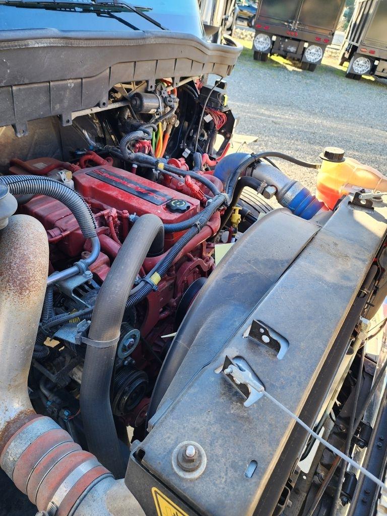 International MV607  2019